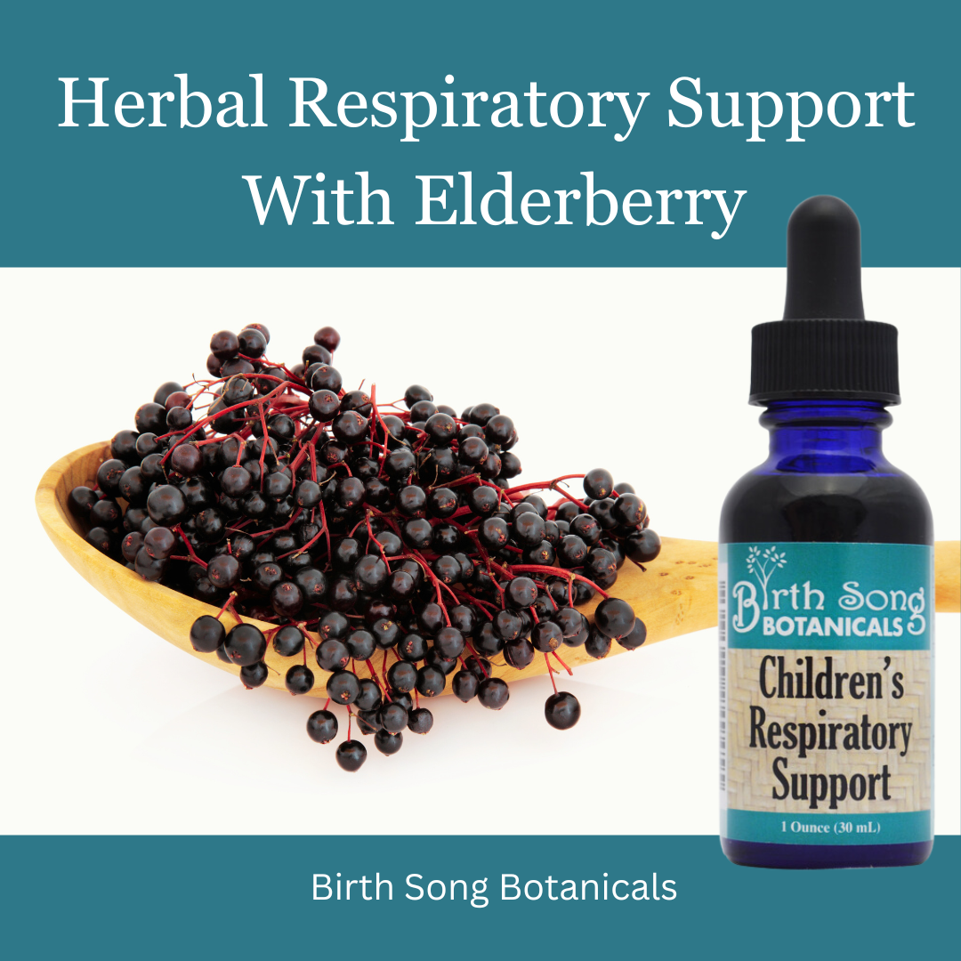 Children's Respiratory Support Herbal Tincture to Support Healthy Lungs* with Elderberry 1 oz. - Concordia Style Boutique