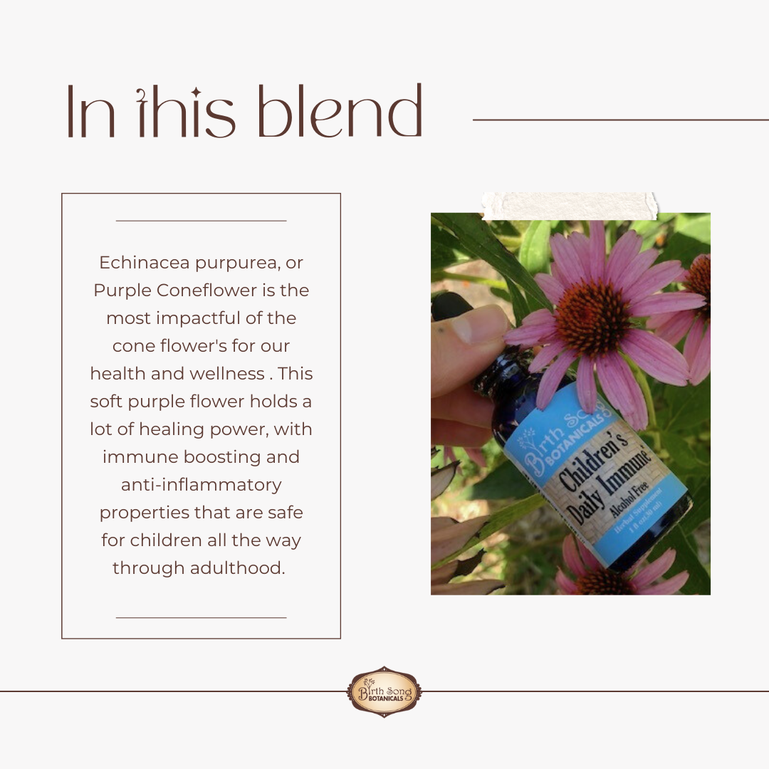 Children's Daily Immune* Herbal Tincture with Astragalus Root 1 oz. - Concordia Style Boutique