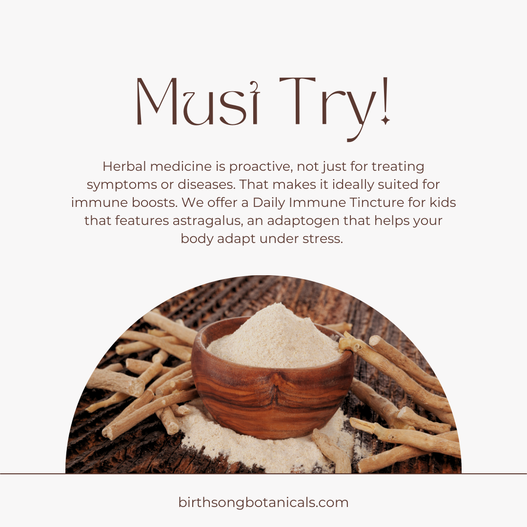Children's Daily Immune* Herbal Tincture with Astragalus Root 1 oz. - Concordia Style Boutique