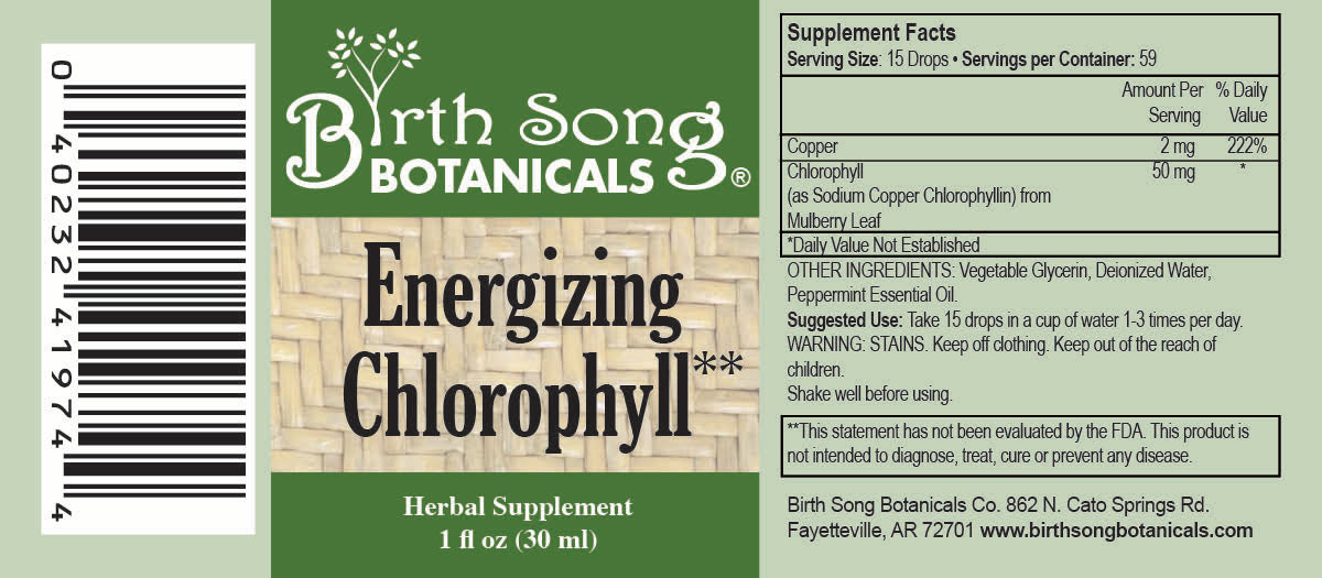 Energizing Chlorophyll Liquid Drops, Peppermint Flavored, Natural Energy, Skin Health, Immune Support* 1 oz. - Concordia Style Boutique