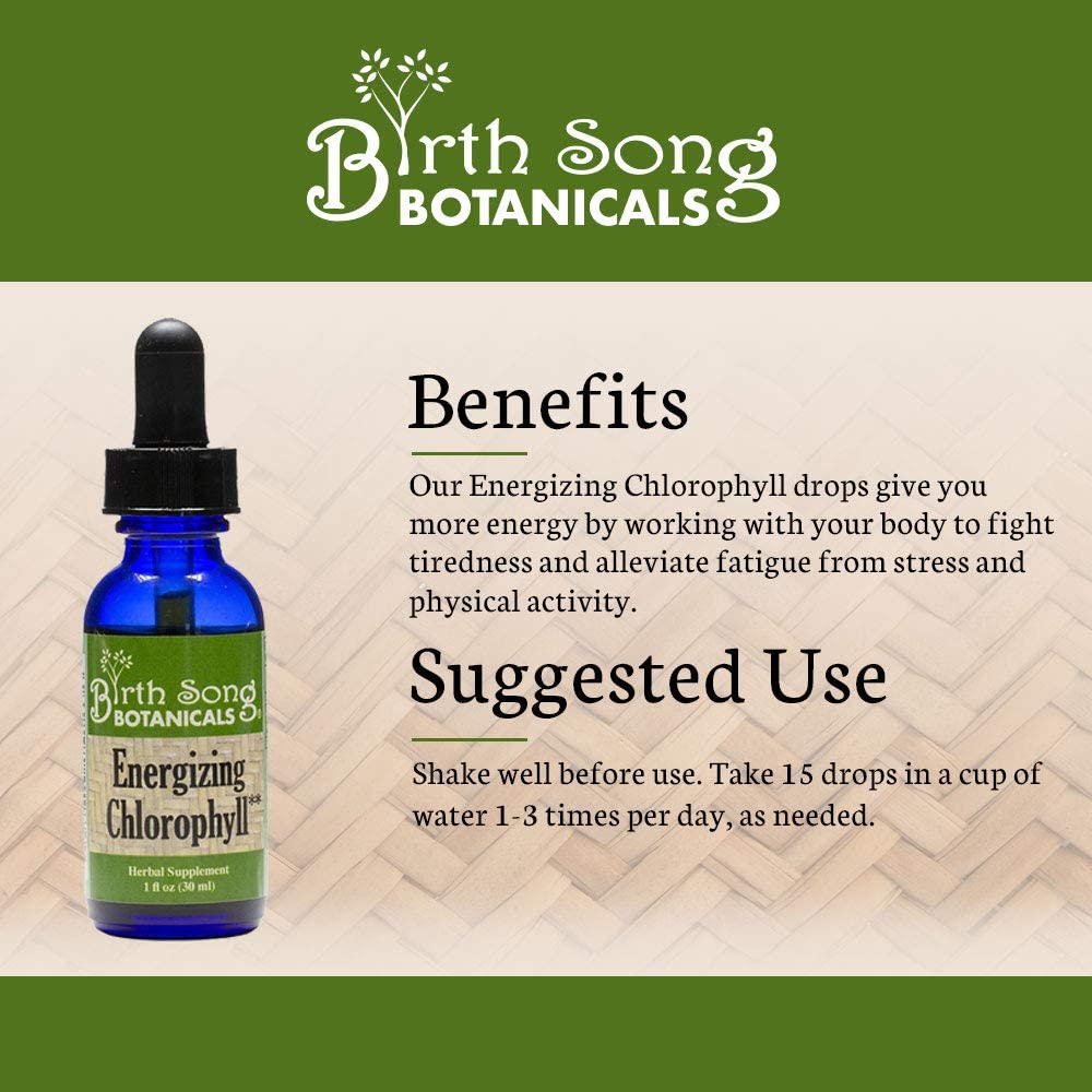 Energizing Chlorophyll Liquid Drops, Peppermint Flavored, Natural Energy, Skin Health, Immune Support* 1 oz. - Concordia Style Boutique