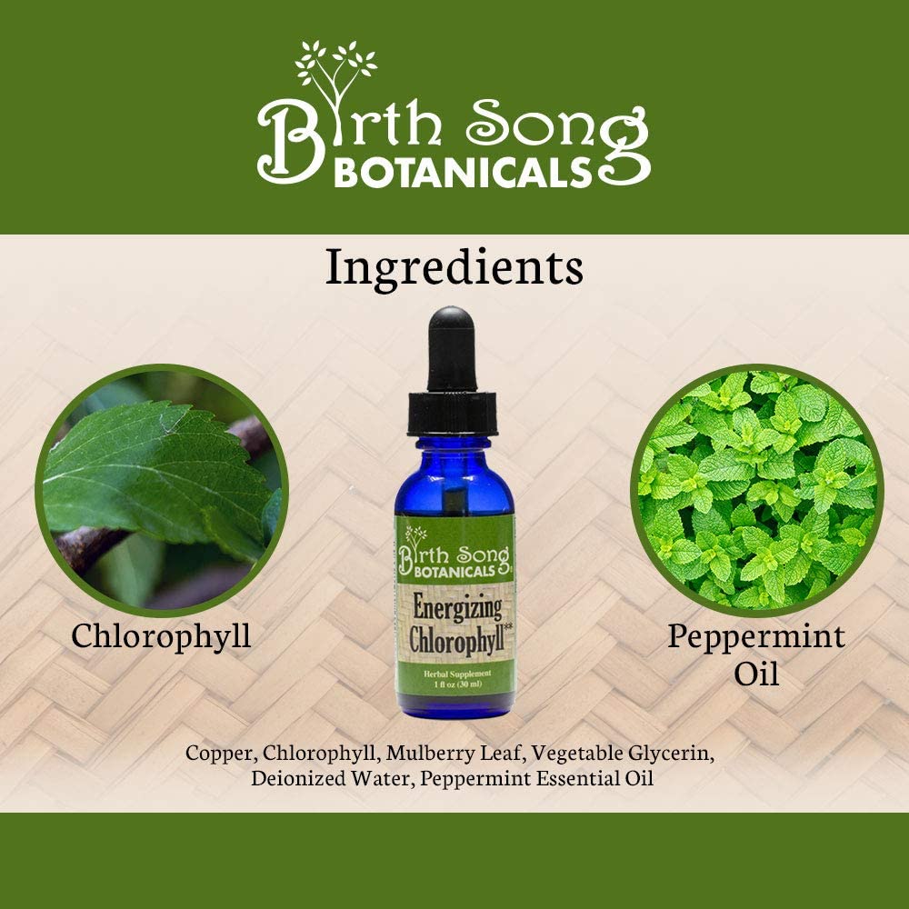 Energizing Chlorophyll Liquid Drops, Peppermint Flavored, Natural Energy, Skin Health, Immune Support* 1 oz. - Concordia Style Boutique