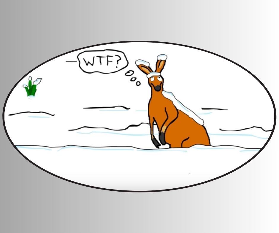 "WTF, Mate" End of Ze World Sarcastic Sticker