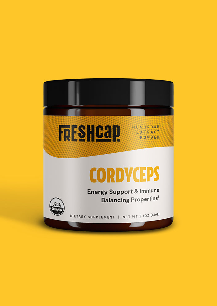 Cordyceps Mushroom Extract Powder - Concordia Style Boutique