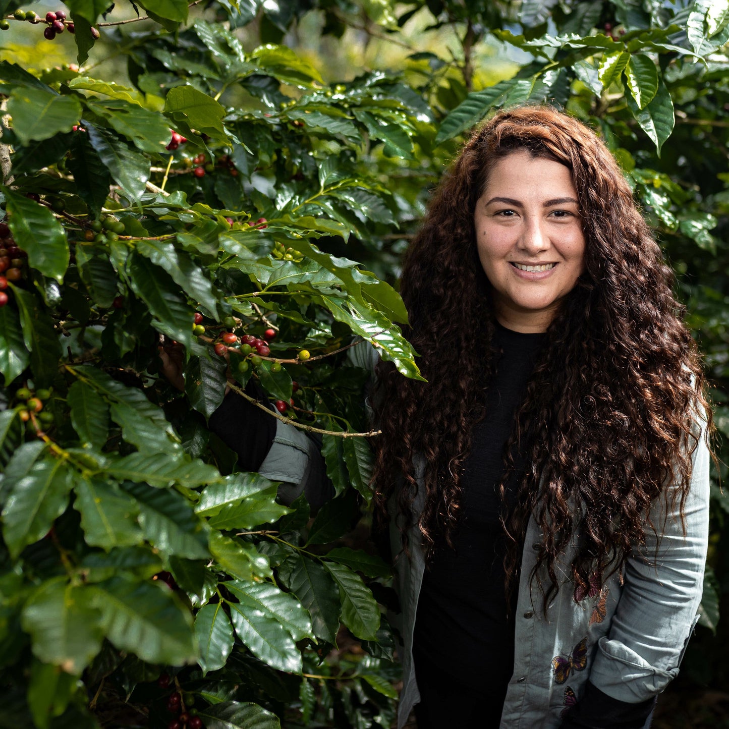 Honduran Catuai Coffee - Concordia Style Boutique