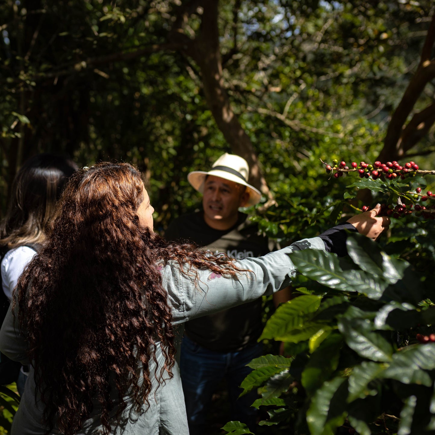 Honduran Bourbon Coffee - Concordia Style Boutique