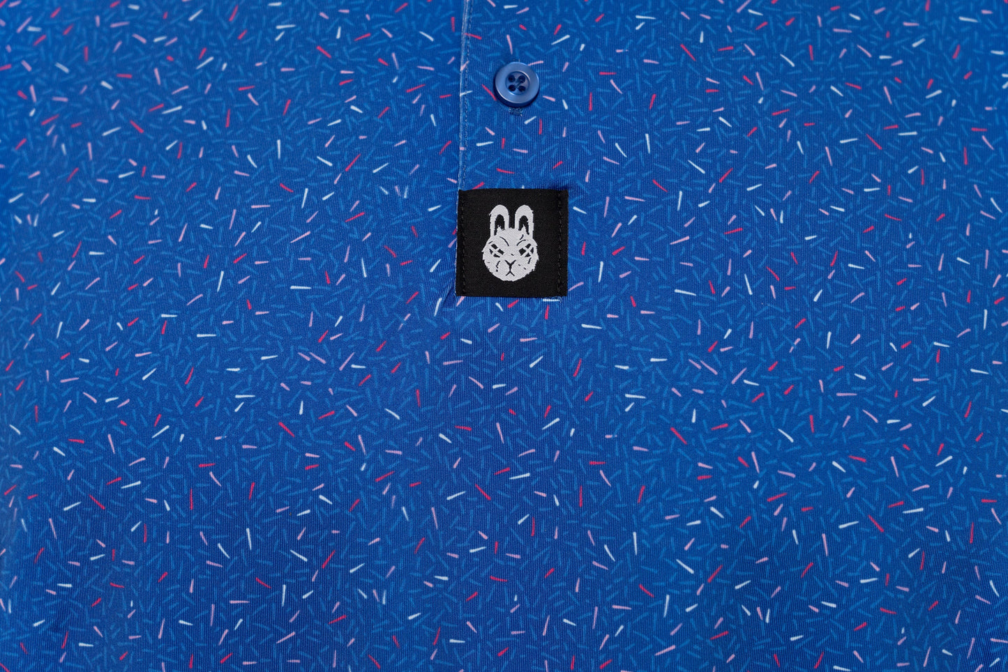 The Big Bang Polo