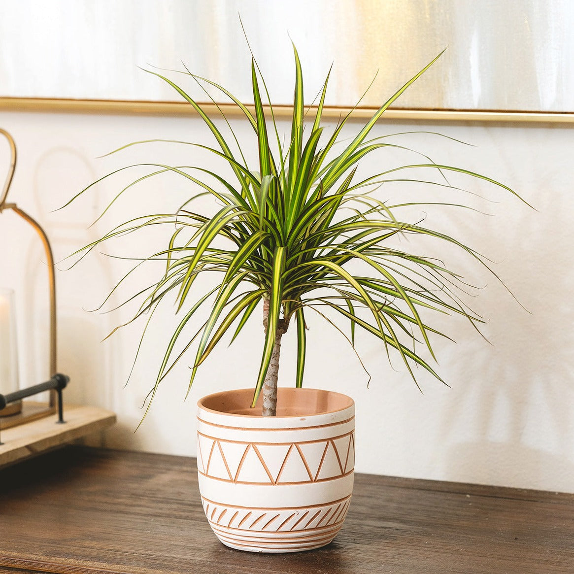 5.5 inch White-Clay Color Geometric Pattern Pot