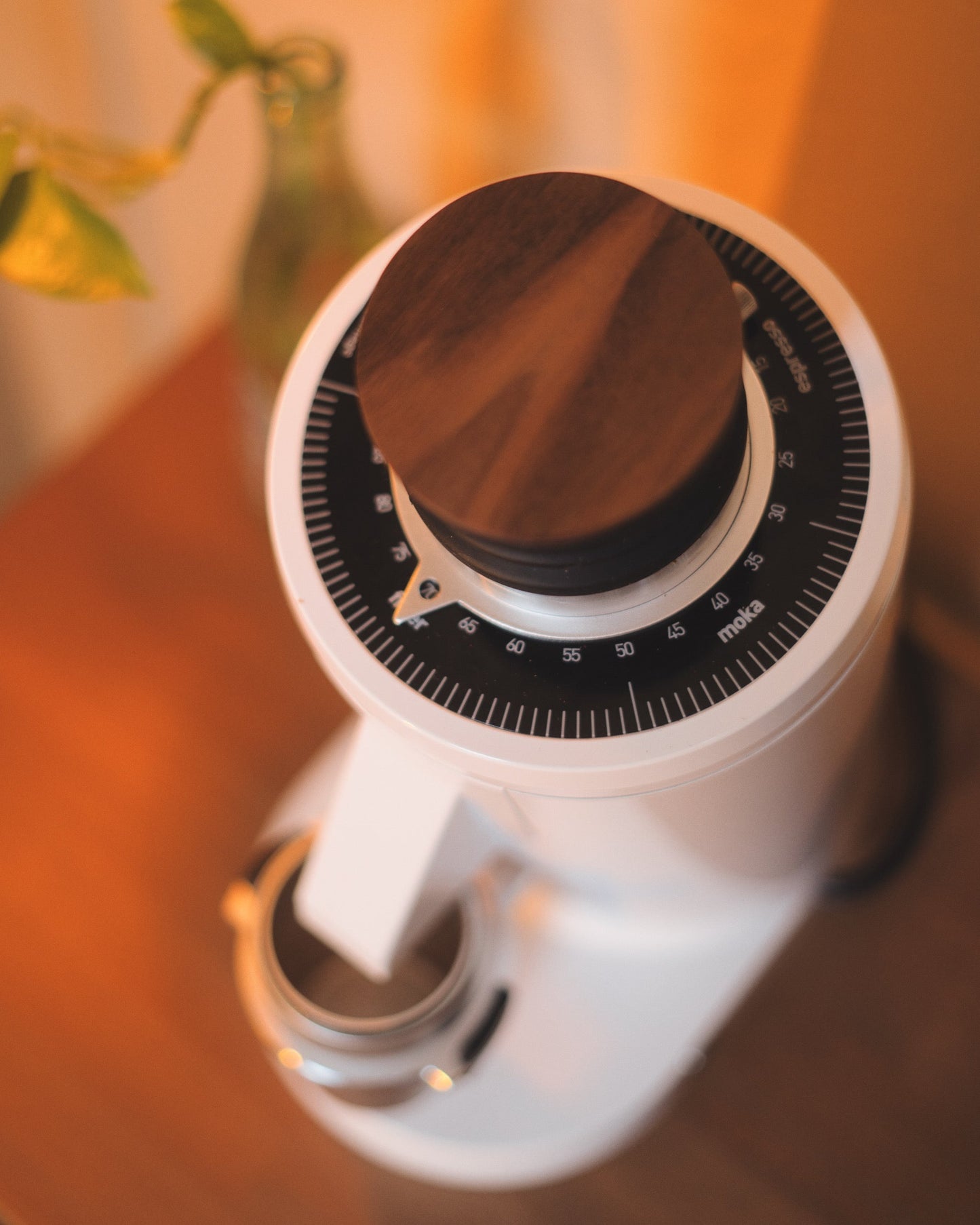 Turin DF83 v3 Single Dose Grinder - Concordia Style Boutique