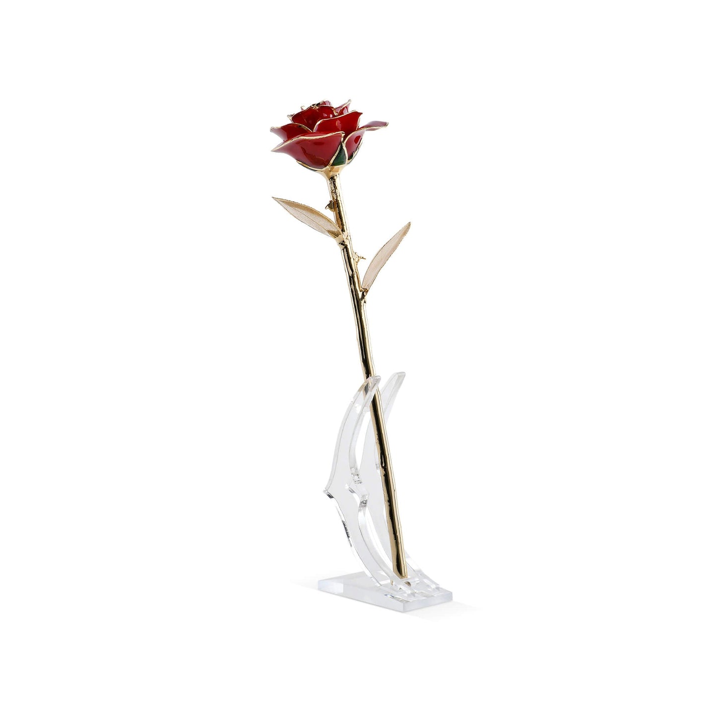 Timeless Rose (Dark Red) - Concordia Style Boutique