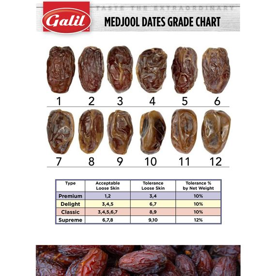 Natural Whole Medjool Dates | 14.1 oz | LiOR - Concordia Style Boutique
