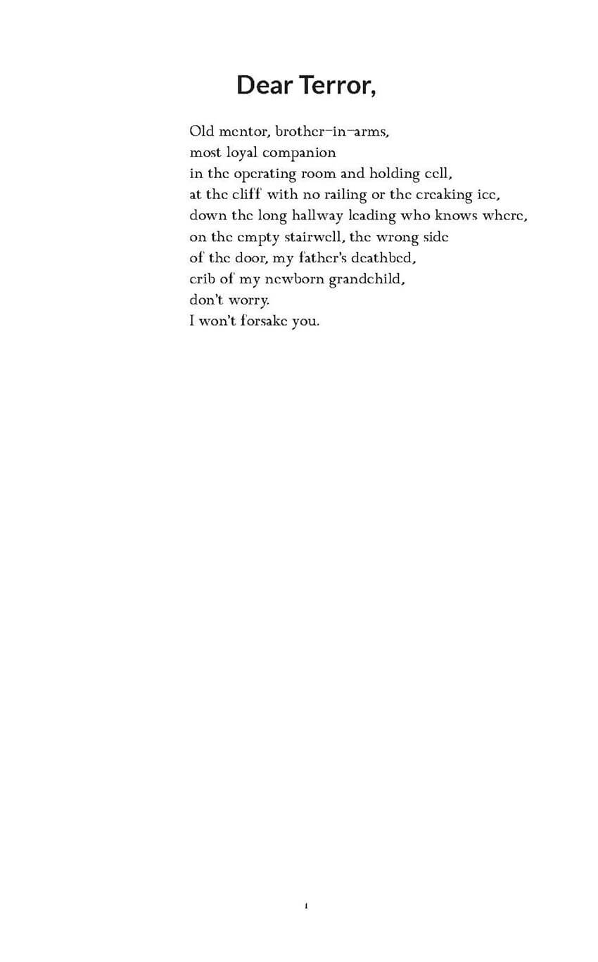 Dear Terror