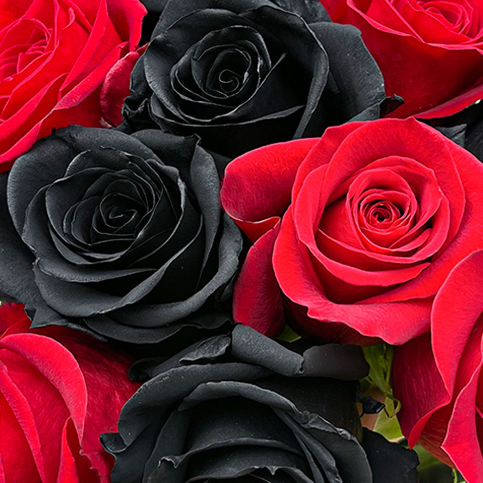 DEEP LOVE