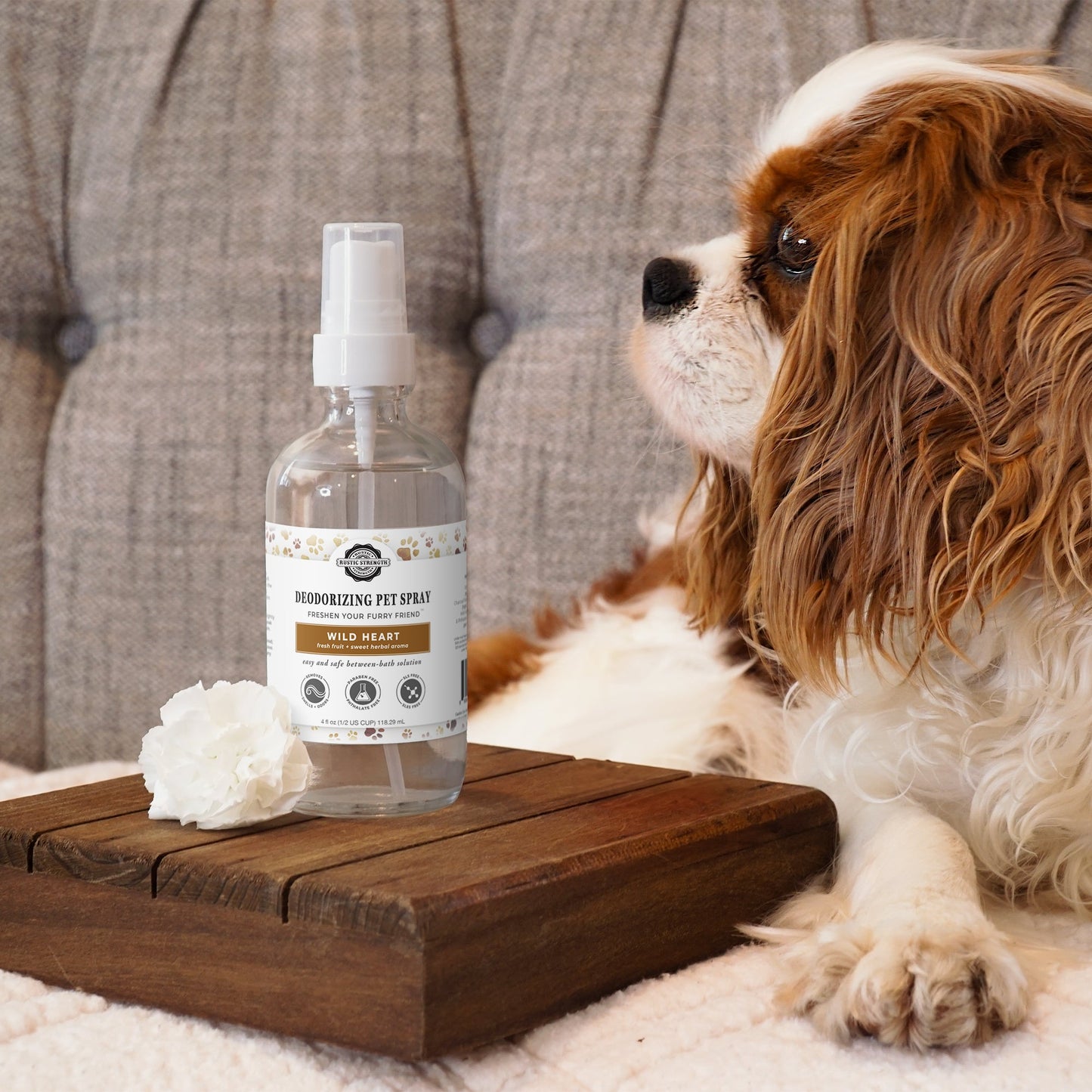 Deodorizing Pet Spray | The Between-Wash Wonder - Concordia Style Boutique