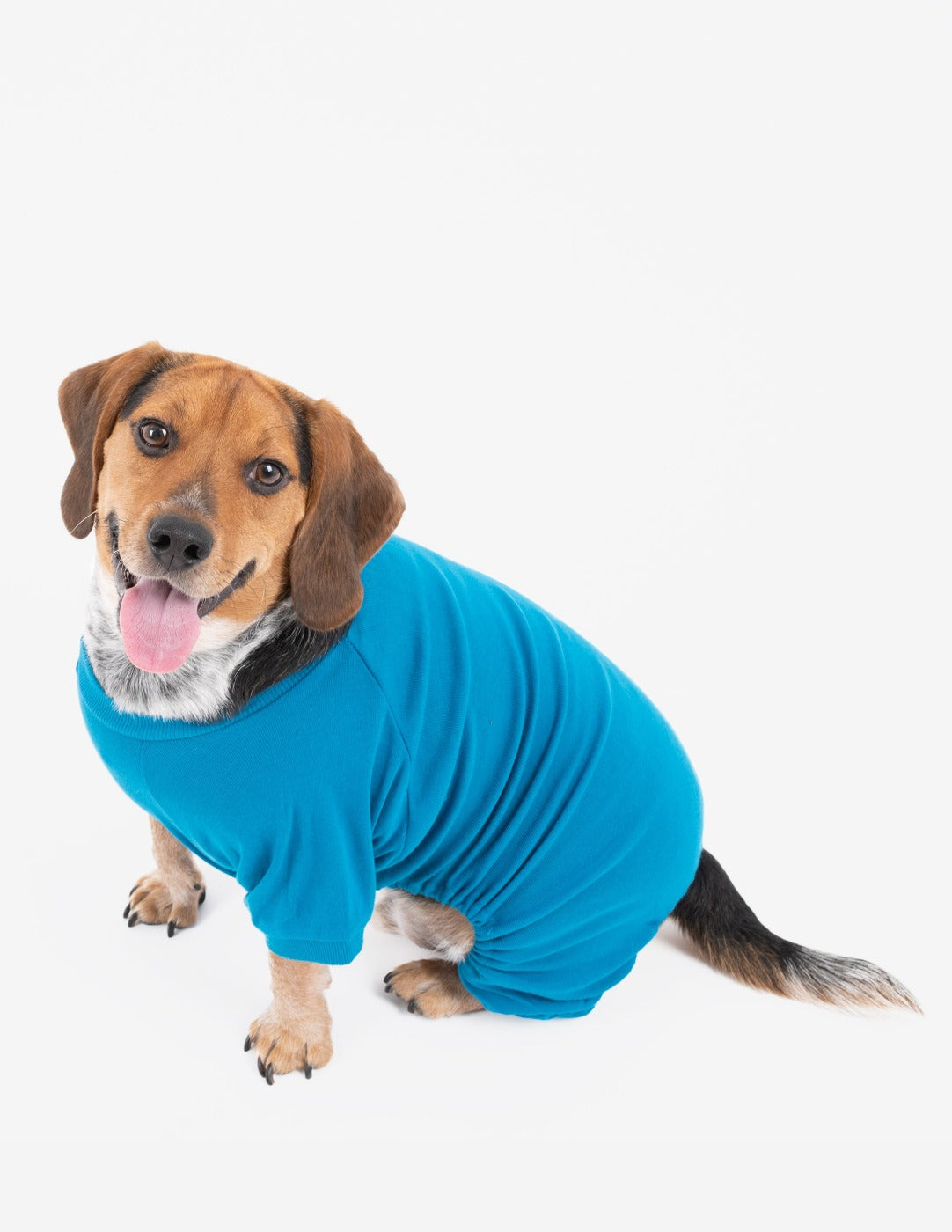Dogs Solid Color Teal Pajamas - Concordia Style Boutique