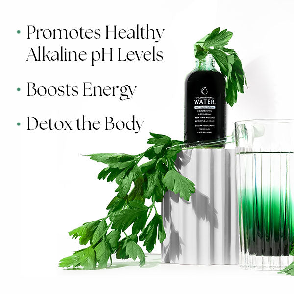Chlorophyll Water Drops - Liquid Chlorophyll Water Drops - Chlorophyll Liquid