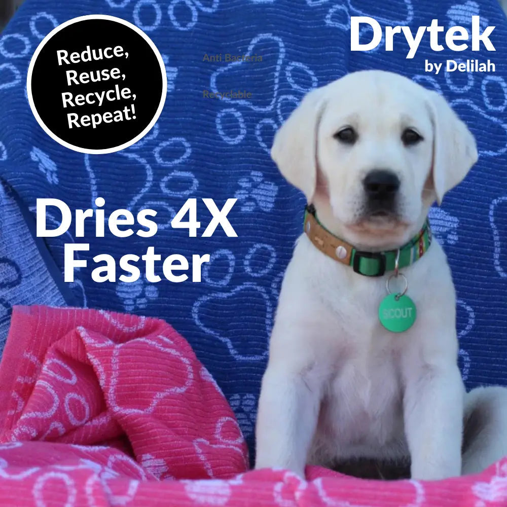 Drytek Dog Towel - Free Shipping - Concordia Style Boutique