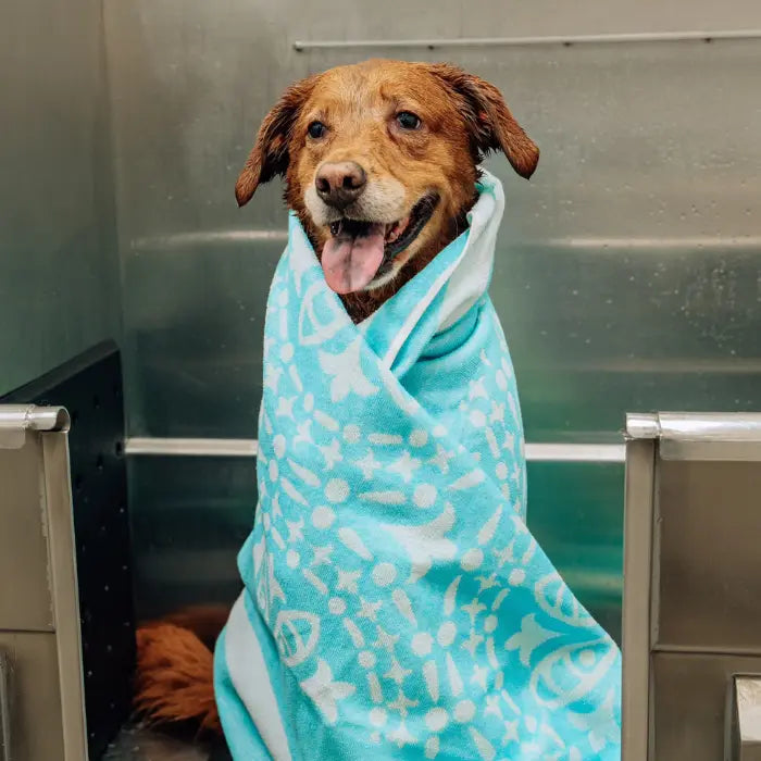 Drytek Dog Towel - Free Shipping - Concordia Style Boutique