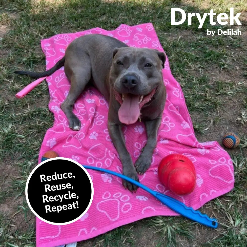Drytek Dog Towel - Free Shipping - Concordia Style Boutique