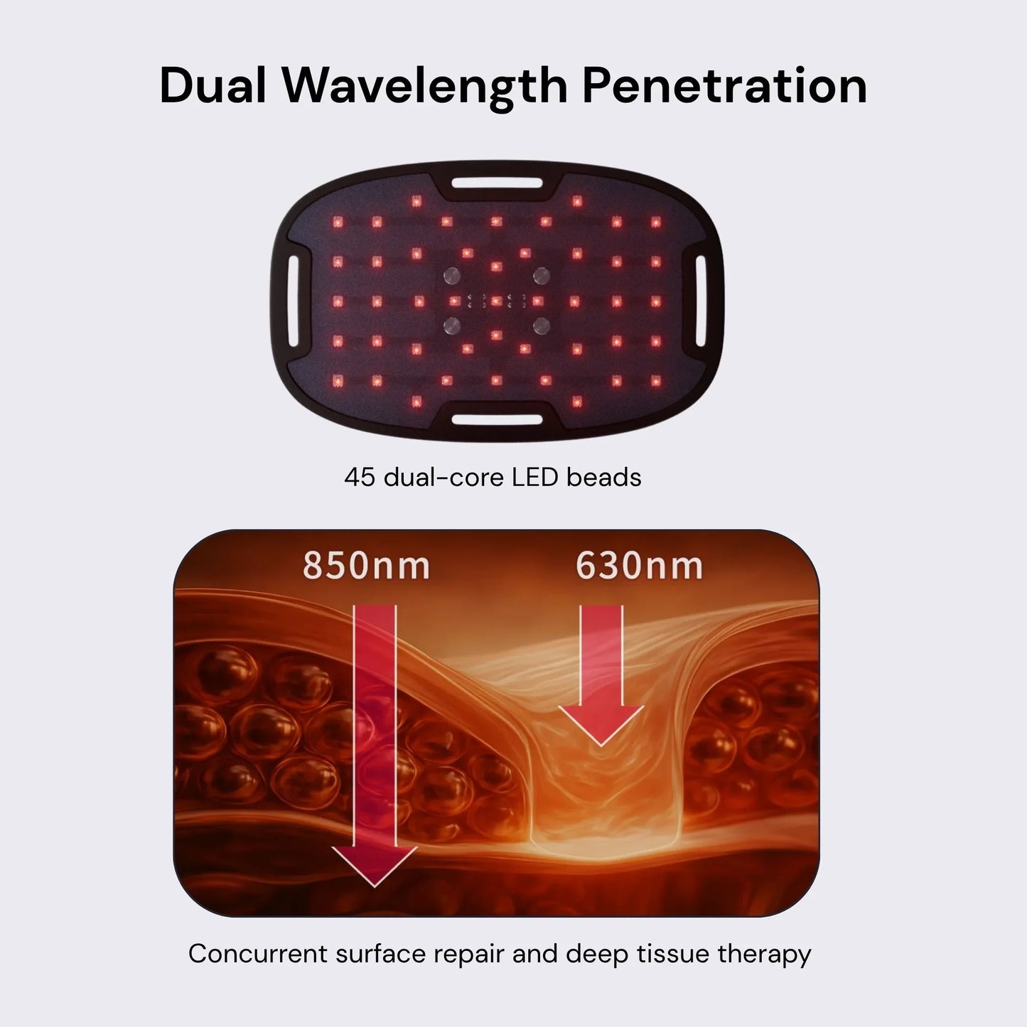The Body Pro - LED red light therapy pane - Concordia Style Boutique