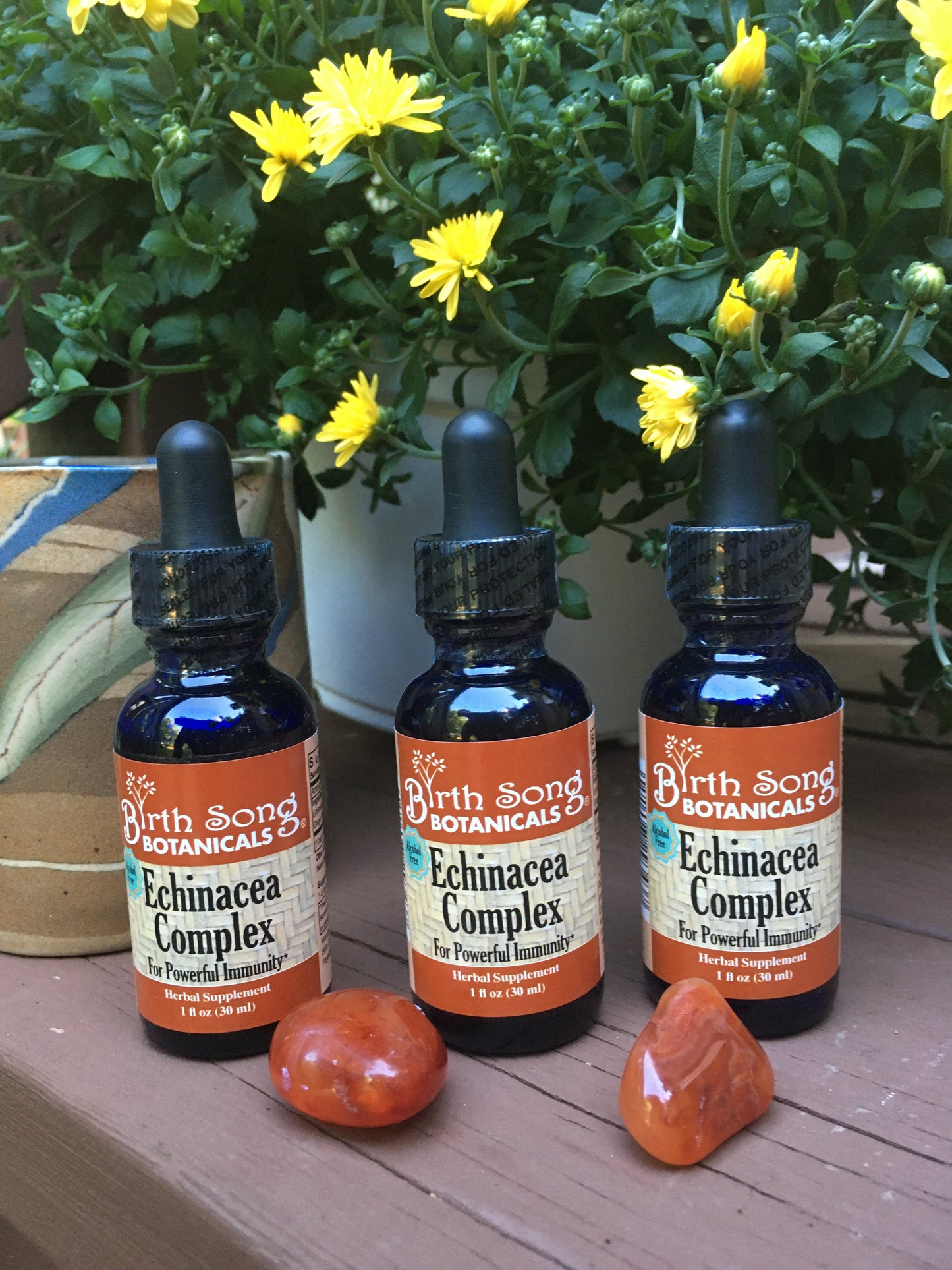 Echinacea Complex Herbal Tincture, Liquid Echinacea Root Extract for Immune System Support* 1 oz. - Concordia Style Boutique