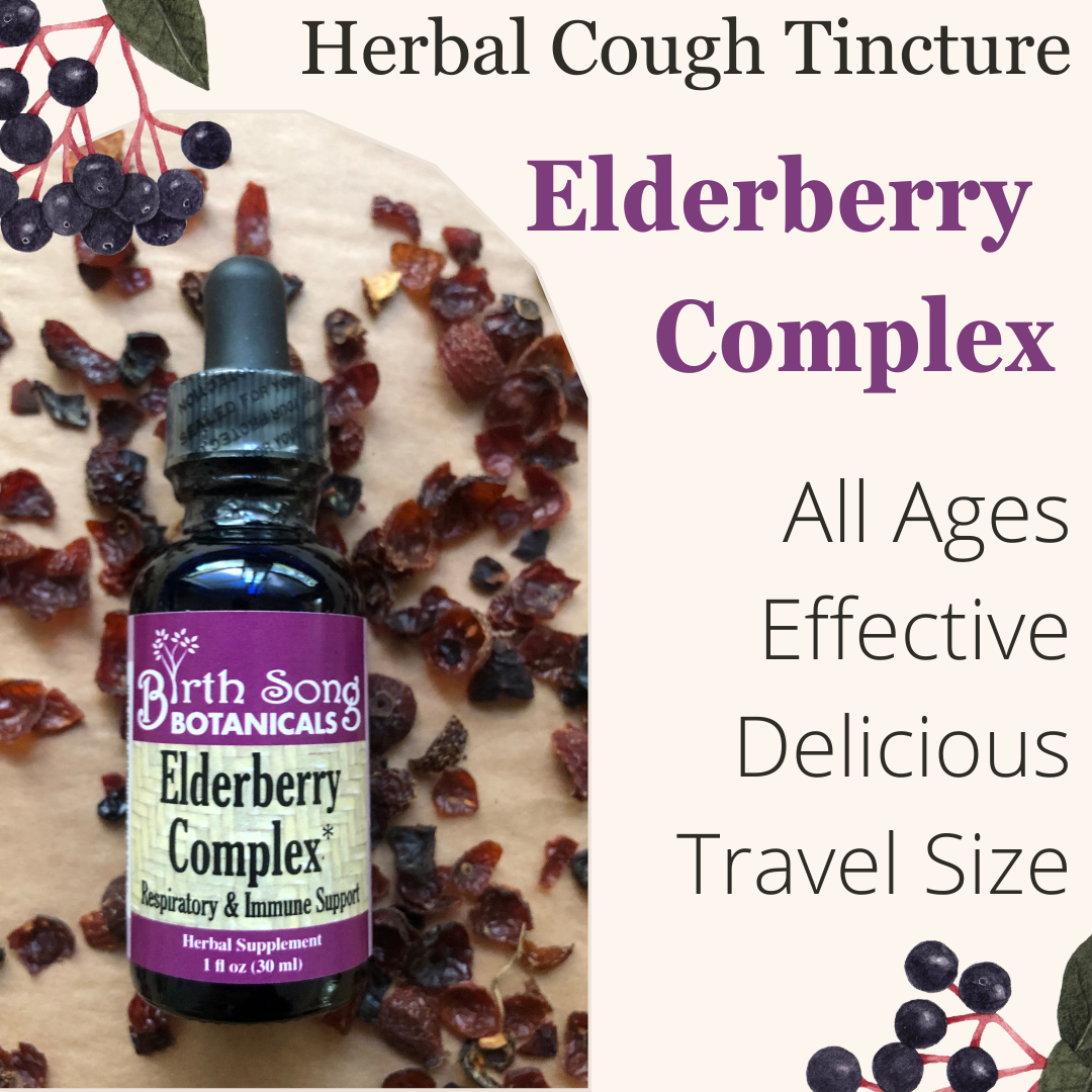 Elderberry Complex Tincture Potent Herbal Immune Support Supplement to Maintain Health and Well-Being* 1 oz. - Concordia Style Boutique