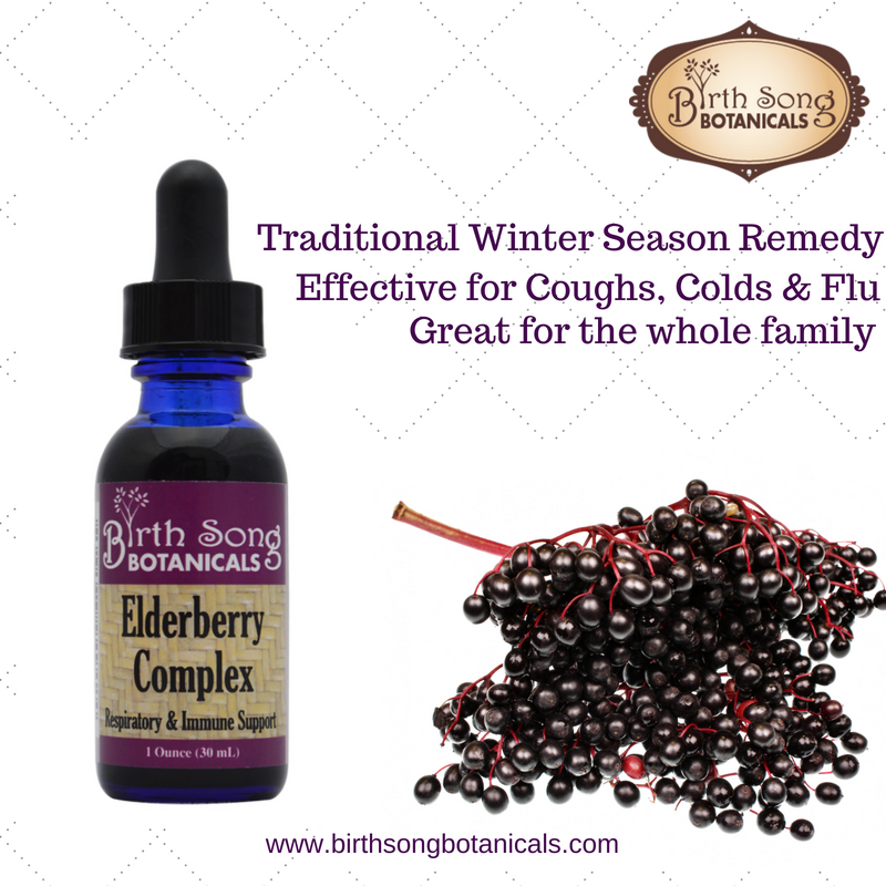 Elderberry Complex Tincture Potent Herbal Immune Support Supplement to Maintain Health and Well-Being* 1 oz. - Concordia Style Boutique