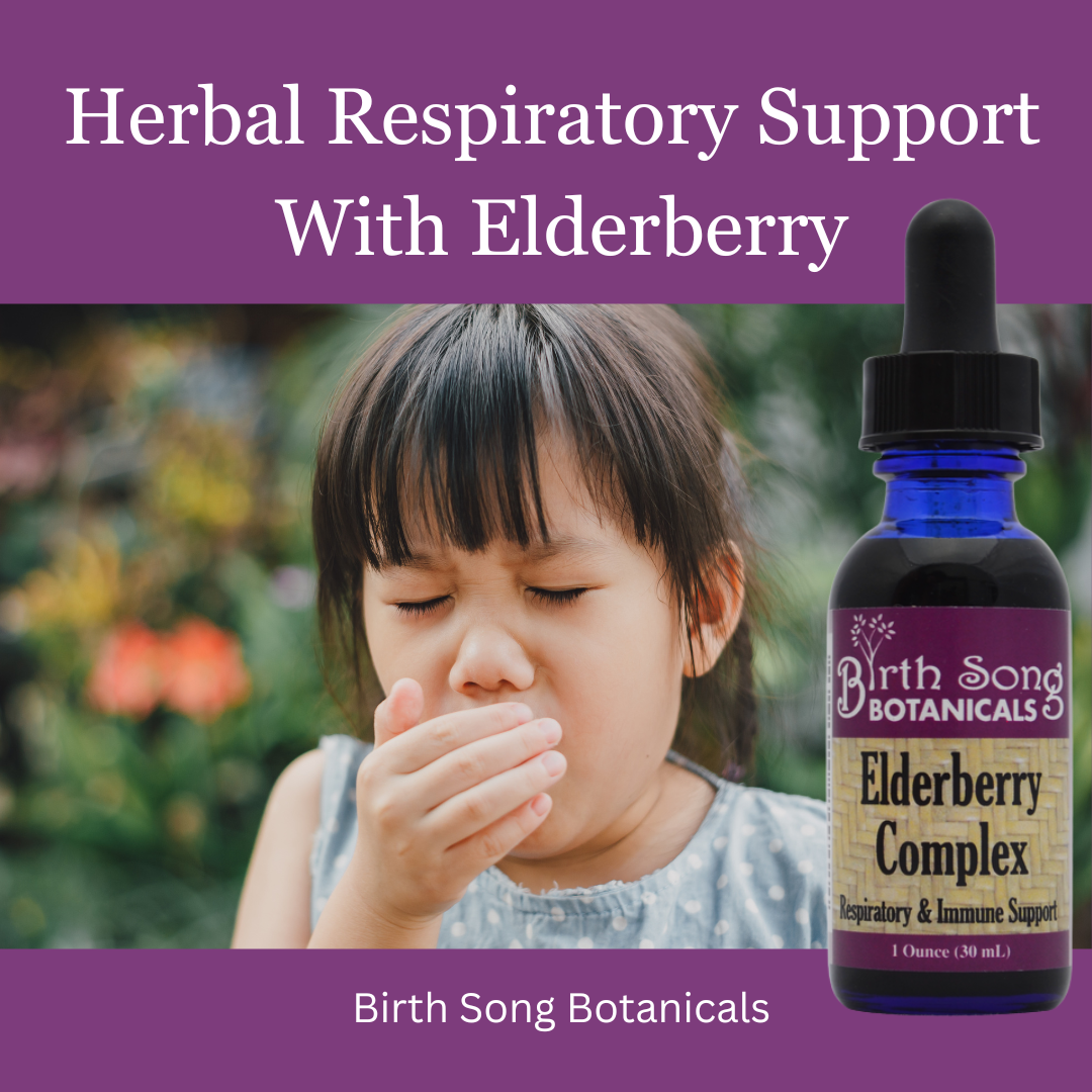 Elderberry Complex Tincture Potent Herbal Immune Support Supplement to Maintain Health and Well-Being* 1 oz. - Concordia Style Boutique