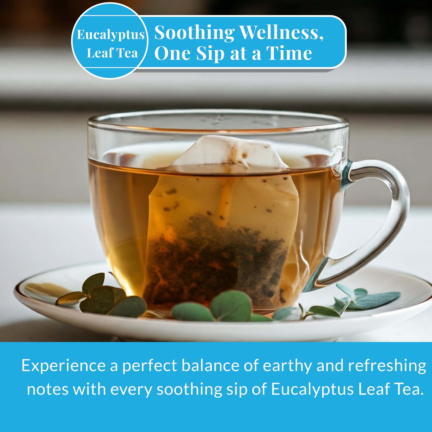 Akshit Eucalyptus Tea Bags - 75 Bags, Pure Eucalyptus Leaves,(te de eucalyptus) Caffeine-Free Herbal Tea, 5oz, Te De Eucalipto