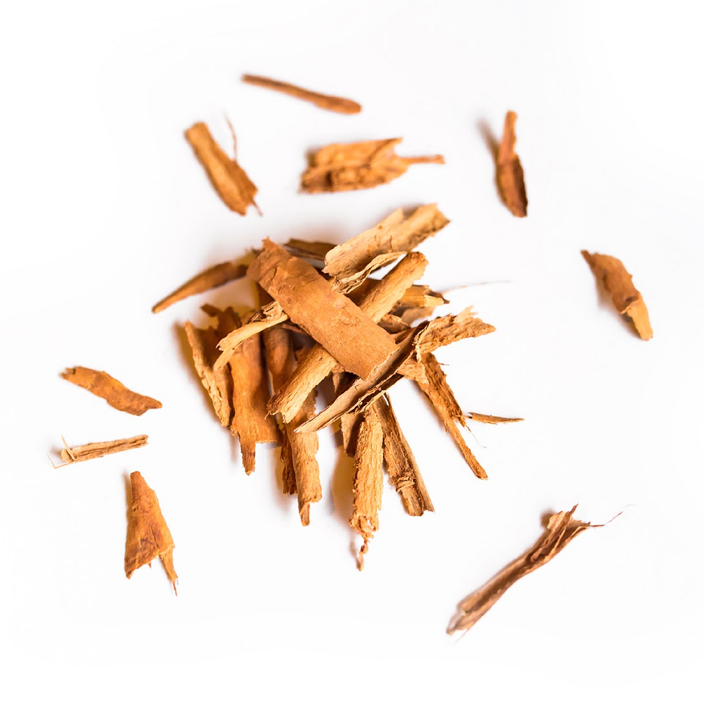 Cinnamon Spice Lip Plumper /// Cinnamon Bark - Concordia Style Boutique