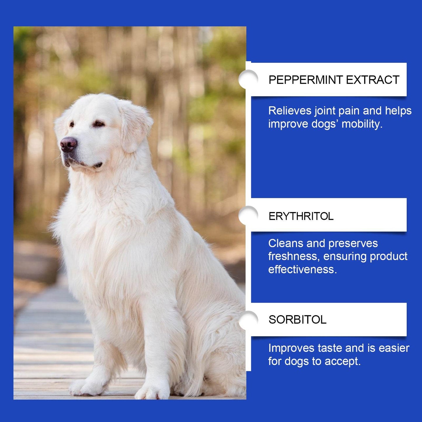 Dog Joint Supplement - Concordia Style Boutique