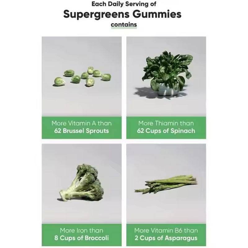Vegetarian Chlorophyll Gummies - Super Green Vitamin Gummies - Concordia Style Boutique