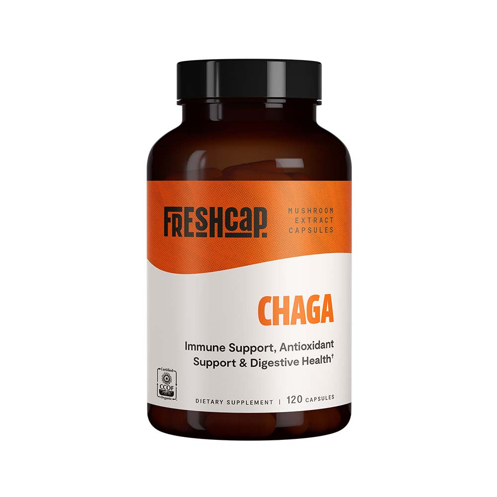 Chaga Mushroom Extract Capsules - Concordia Style Boutique