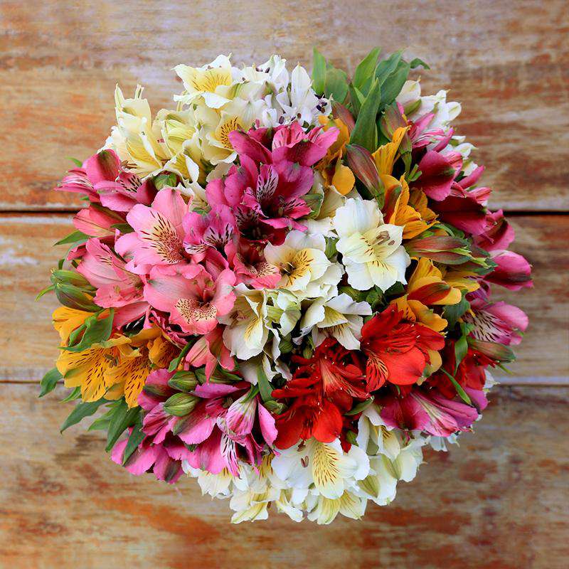FIESTA FLOWERS