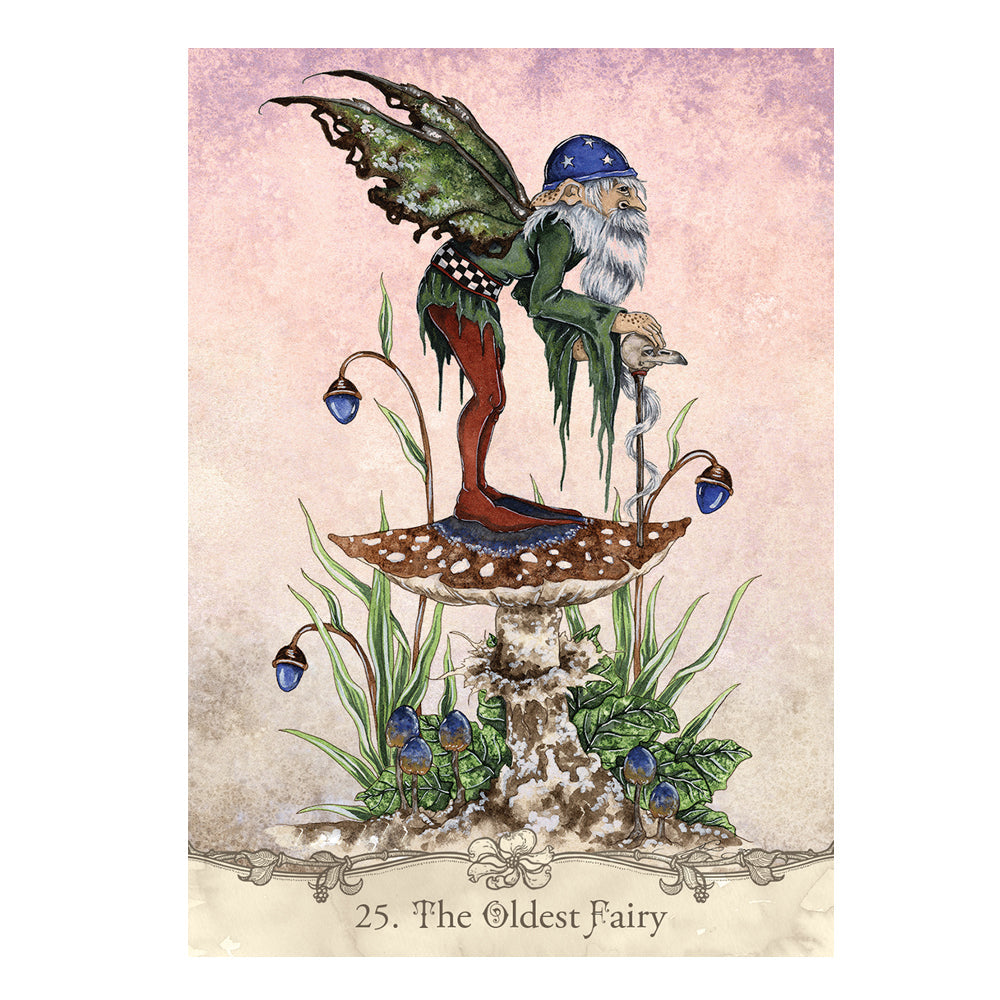 Fairy Wisdom Oracle Deck and Book Set - Concordia Style Boutique