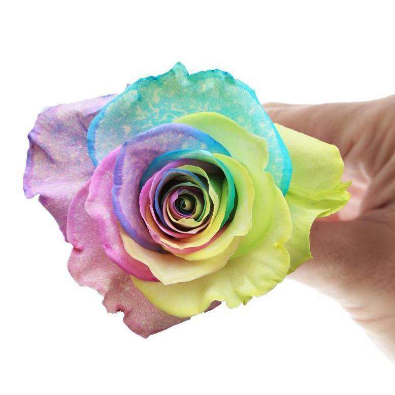 TIE DYE