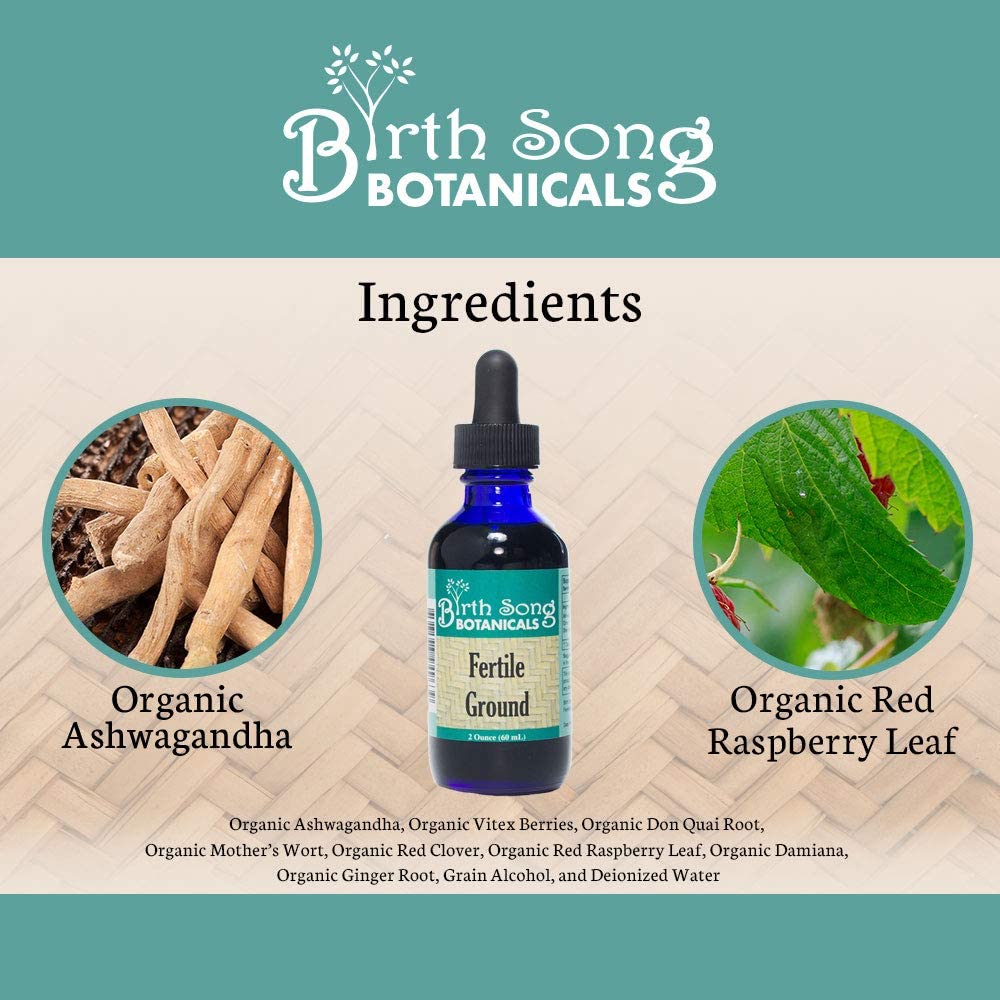 Fertile Ground Herbal Tincture To Support Women, Hormone Harmony, Natural Fertility and Conception* Herbal Support for Normal Womb Health 2 oz. - Concordia Style Boutique