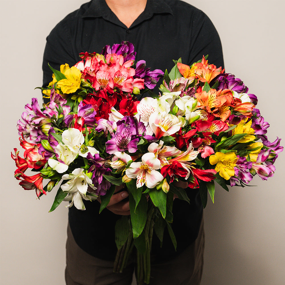 FIESTA FLOWERS
