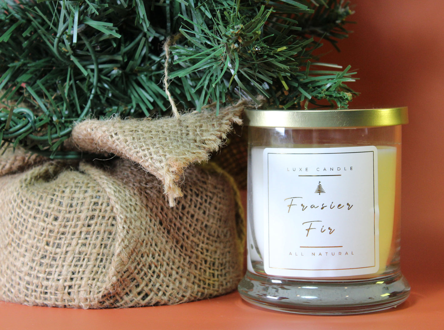 Frasier Fir • Luxe Natural Coconut Wax Candle