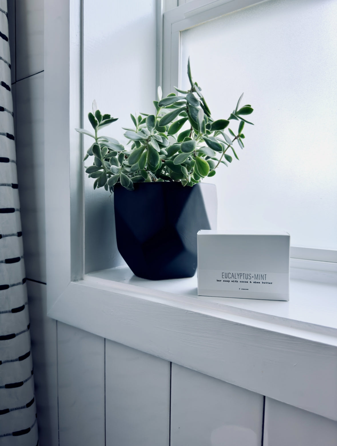 Bar Soap - Seasonal - Concordia Style Boutique