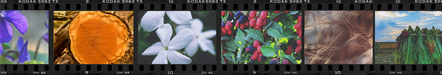 Flight No. 33 Full Grain