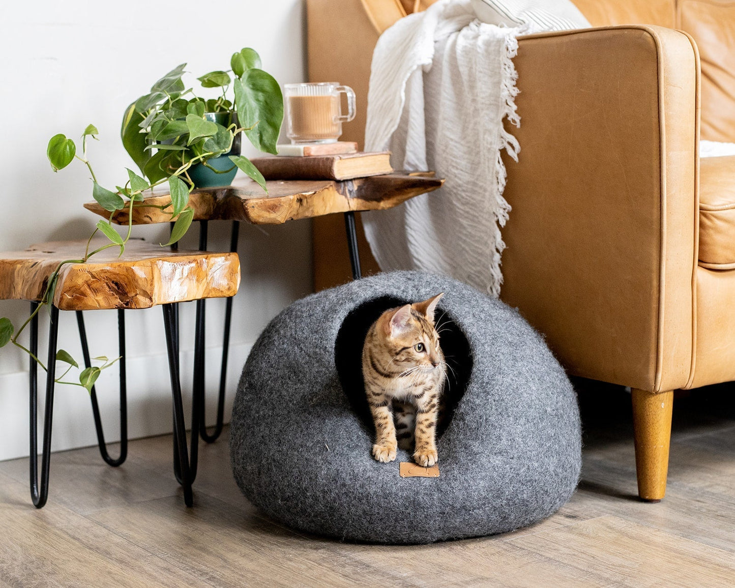 Stone Gray | Round Style Cave - Concordia Style Boutique