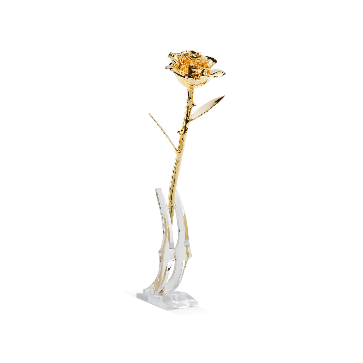 Timeless Rose (Gold) - Concordia Style Boutique