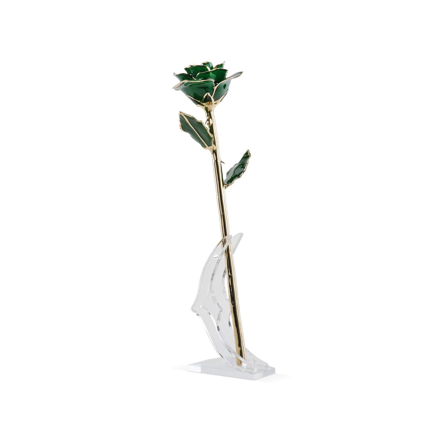 Timeless Rose (Green) - Concordia Style Boutique