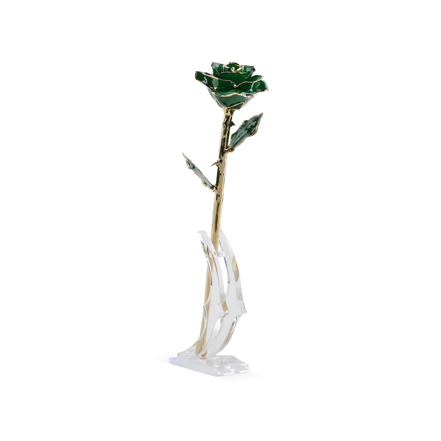 Timeless Rose (Green) - Concordia Style Boutique