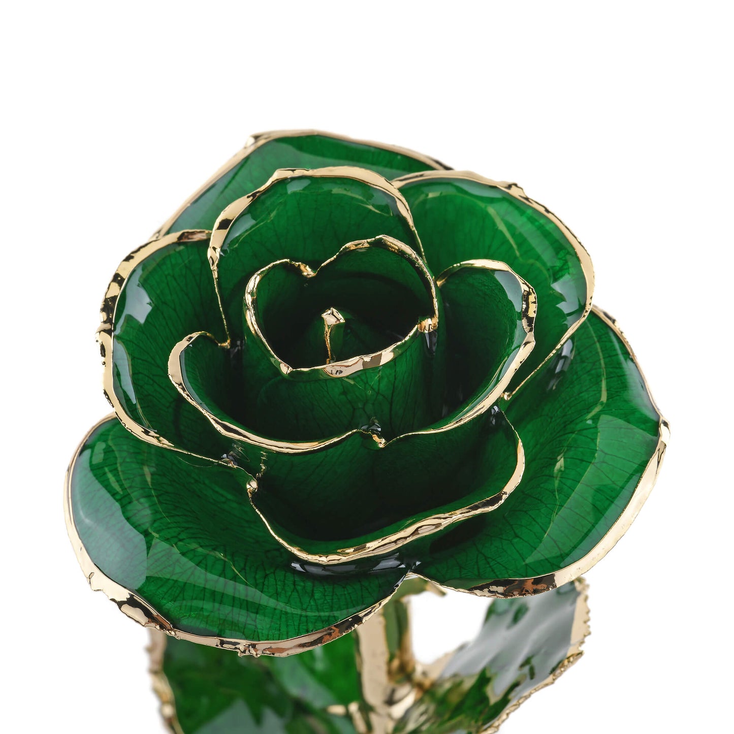 Timeless Rose (Green) - Concordia Style Boutique