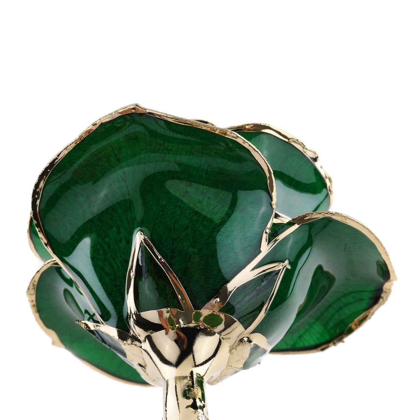 Timeless Rose (Green) - Concordia Style Boutique