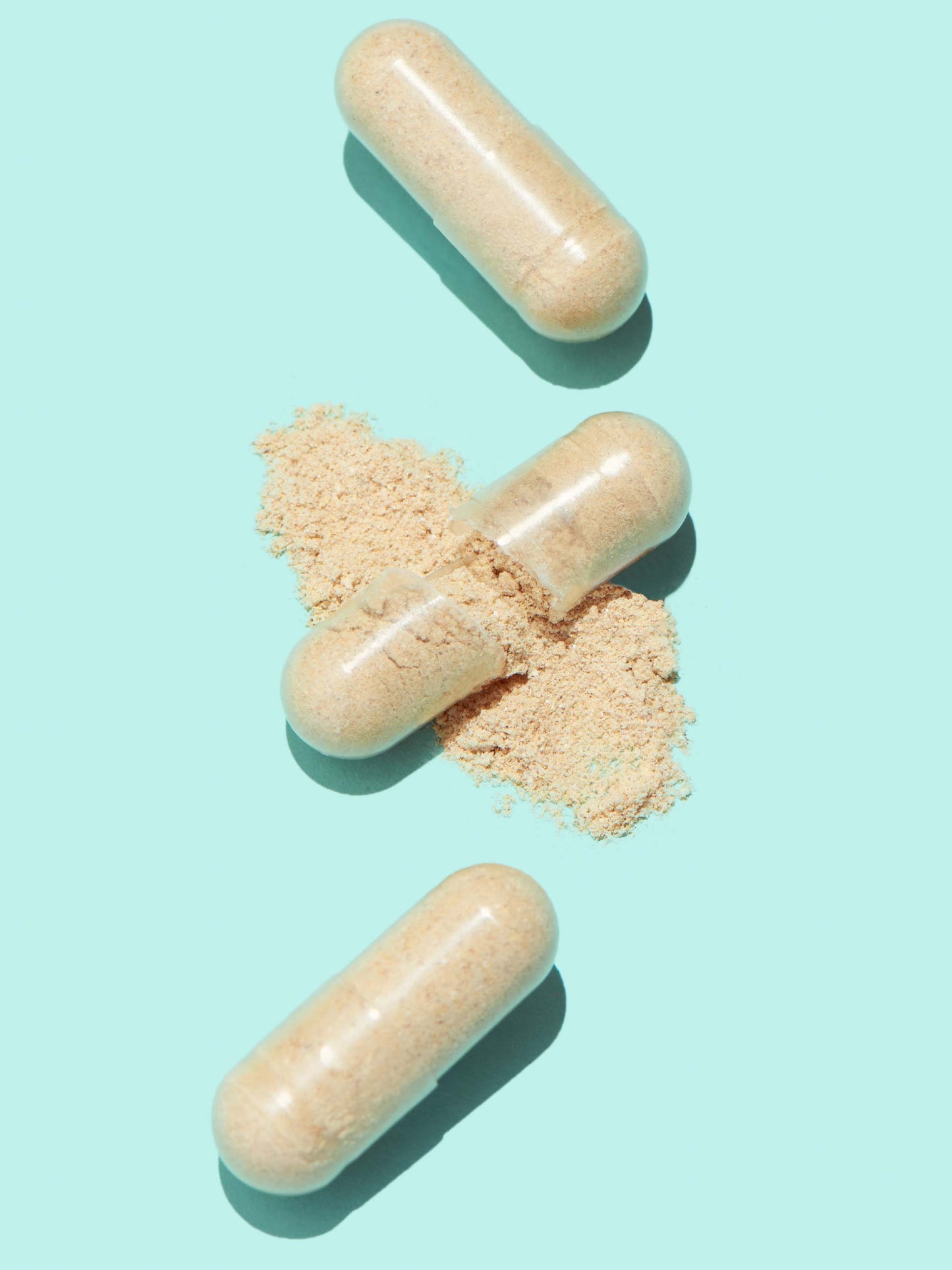 gut health probiotic+ - Concordia Style Boutique