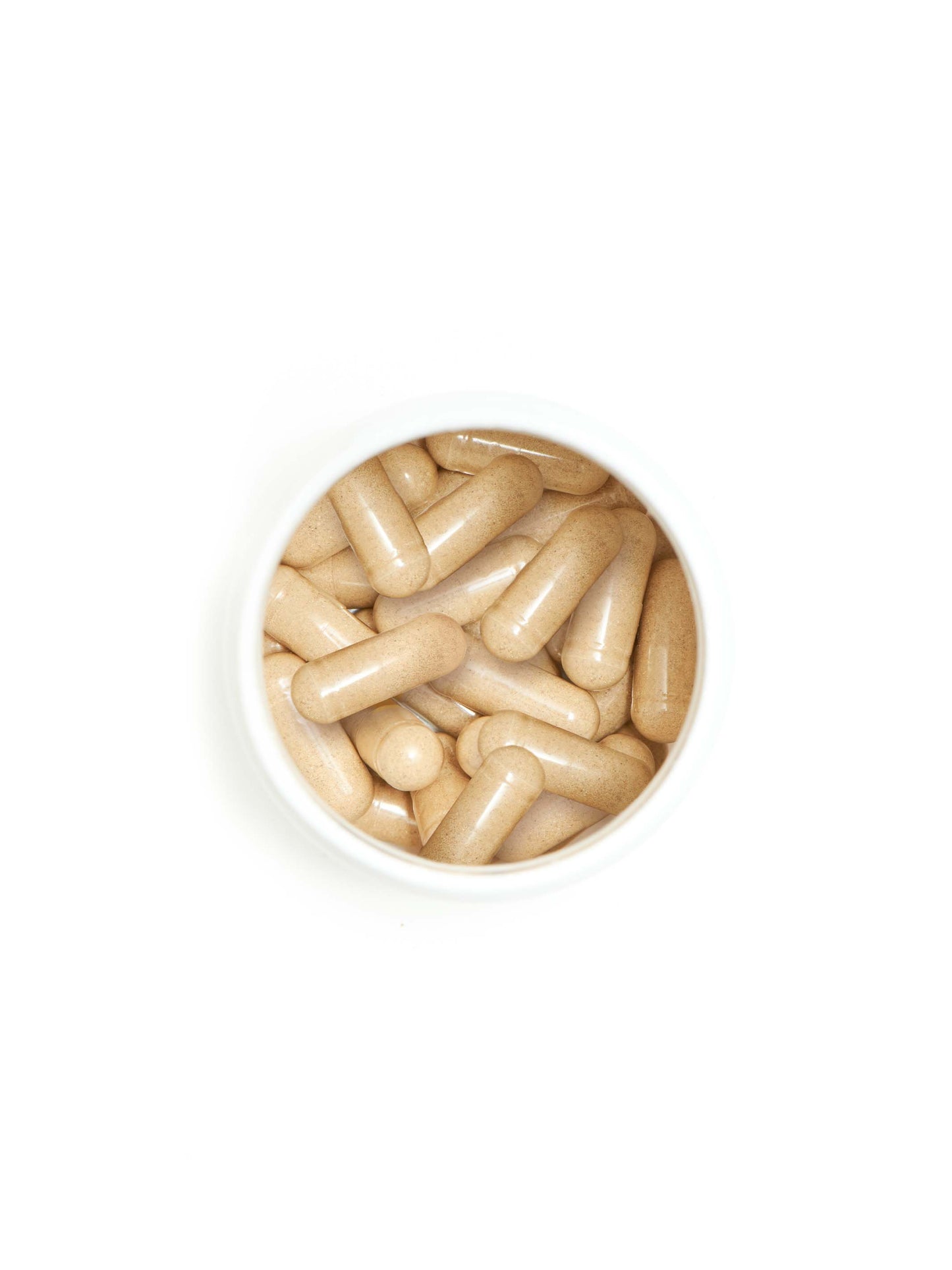 gut health probiotic+ - Concordia Style Boutique