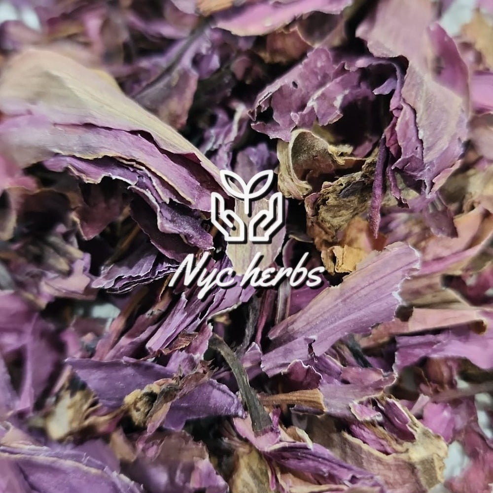 ed Lotus | Relaxation, Meditation & Heart-Opening Support